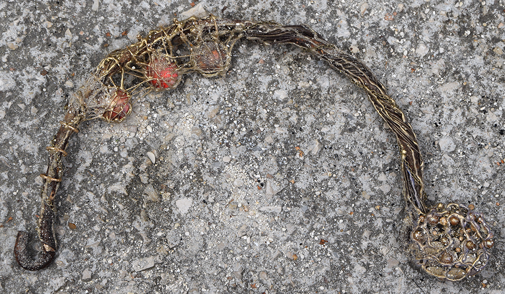 Fossile - 8 par Zandrine C